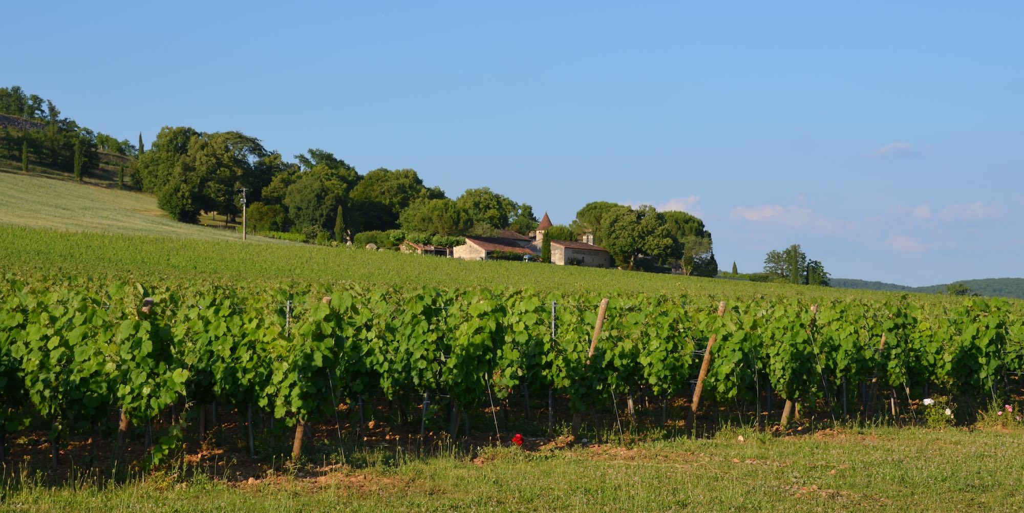 VinTour - More than just wine tourism !
